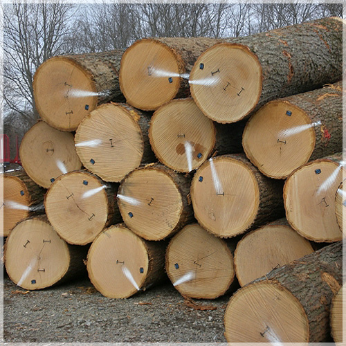Wood Logs – VIETTIEN S.R.O.